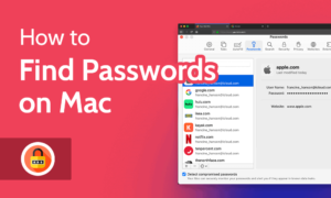 Read more about the article How to Find Passwords on Mac in 2022 [Access iCloud Keychain]