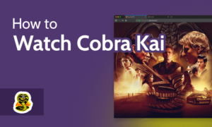 Read more about the article How to Watch Cobra Kai Season 5 Online From Anywhere in 2022