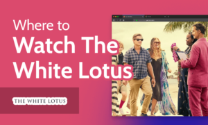 Read more about the article How & Where to Watch White Lotus From Anywhere in 2022