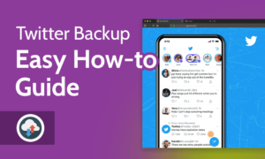 Read more about the article How to Create a Twitter Backup: Saving Your Tweets in 2022