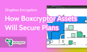 Read more about the article Dropbox Encryption in 2022: Boxcryptor Assets