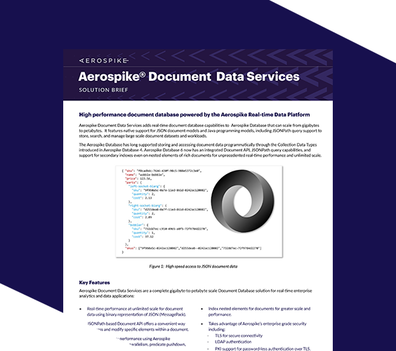 Read more about the article How Aerospike Document Database supports real-time applications