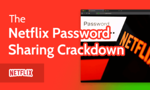 Read more about the article Netflix Password Sharing Crackdown 2023 [How to Get Around It]